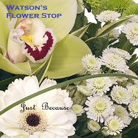 Watsons Flowerstop 281823 Image 0